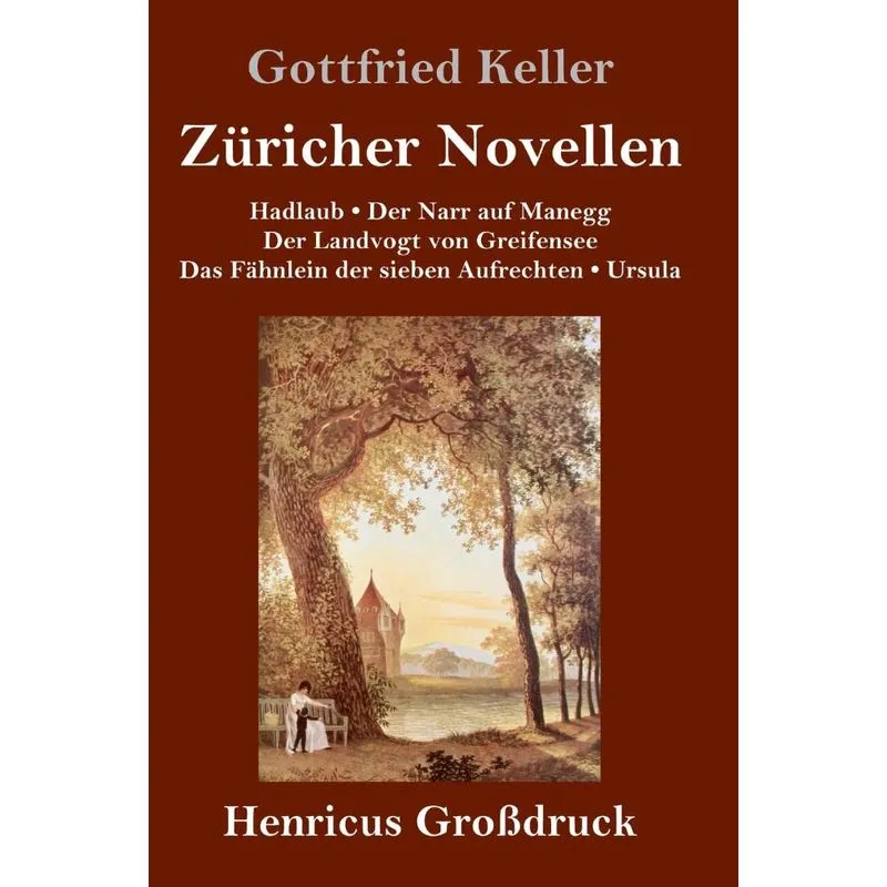 Züricher Novellen (Großdruck)
