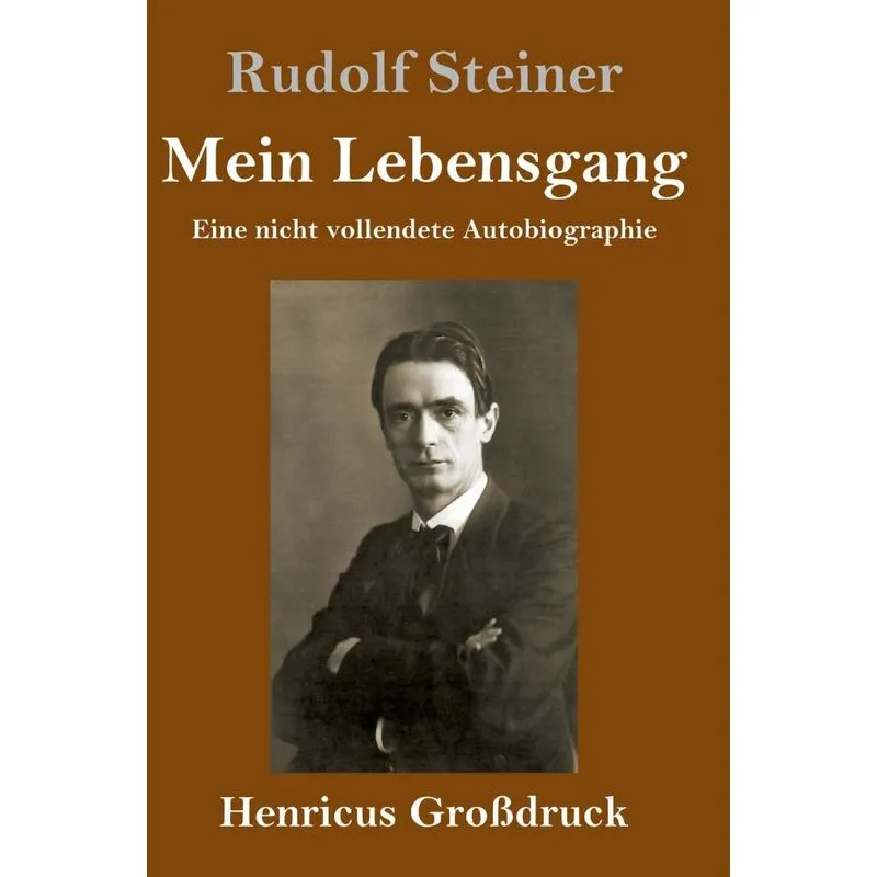 Mein Lebensgang (Großdruck)
