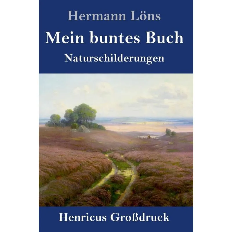 Mein buntes Buch (Großdruck)