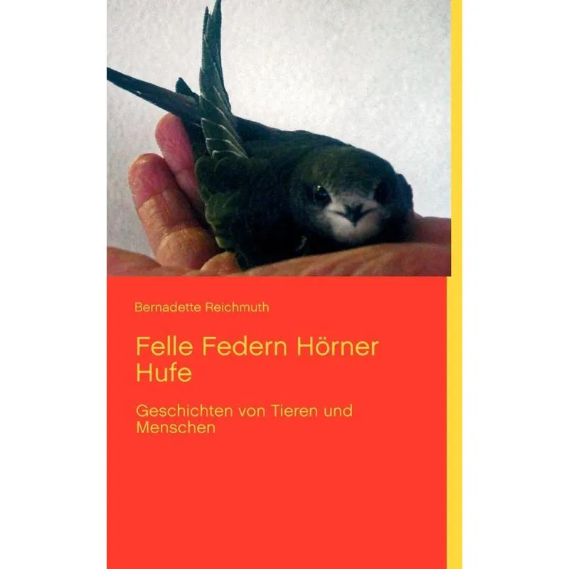 Felle Federn Hörner Hufe