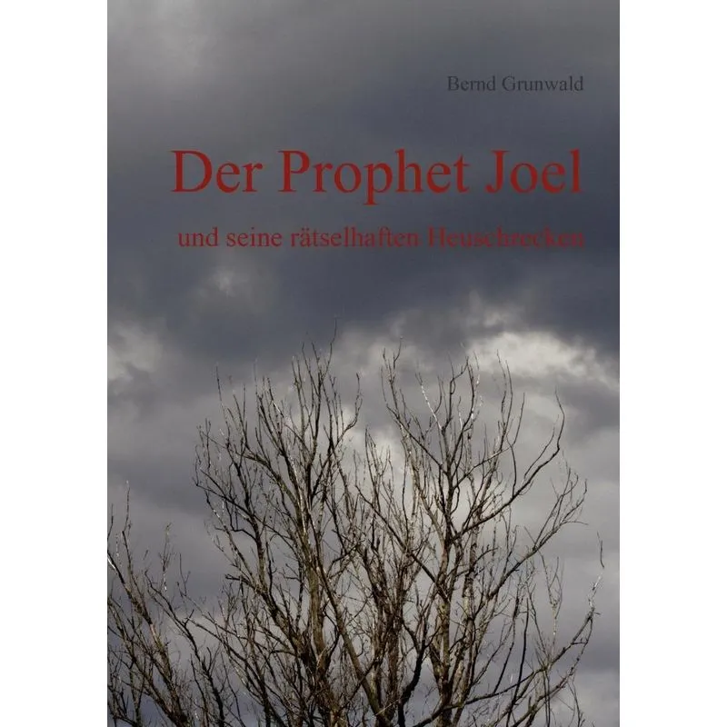 Der Prophet Joel