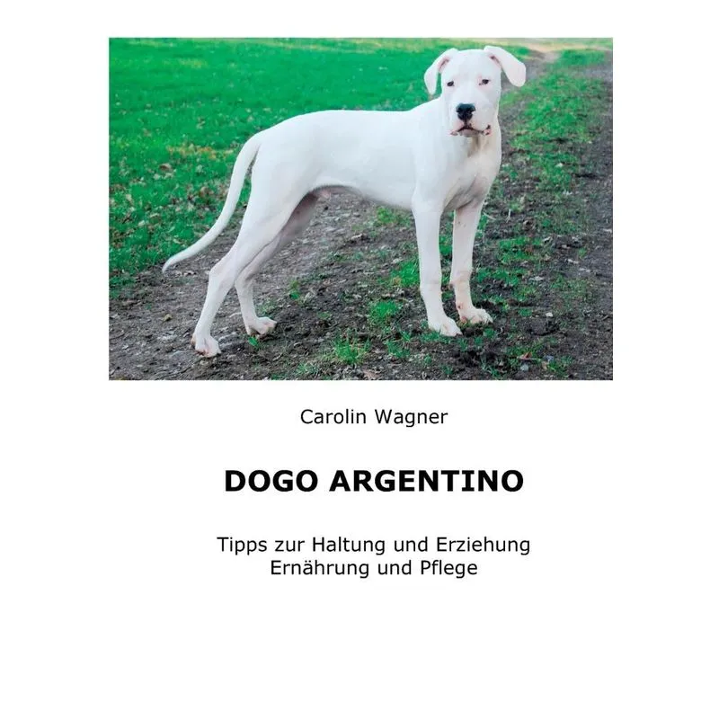 Dogo Argentino