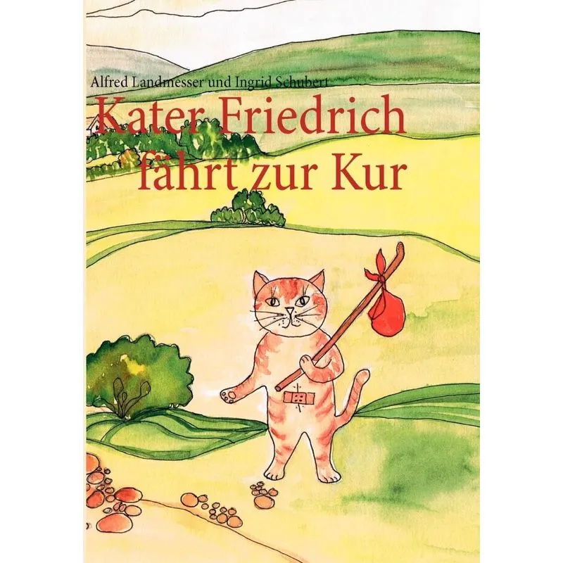 Kater Friedrich fährt zur Kur
