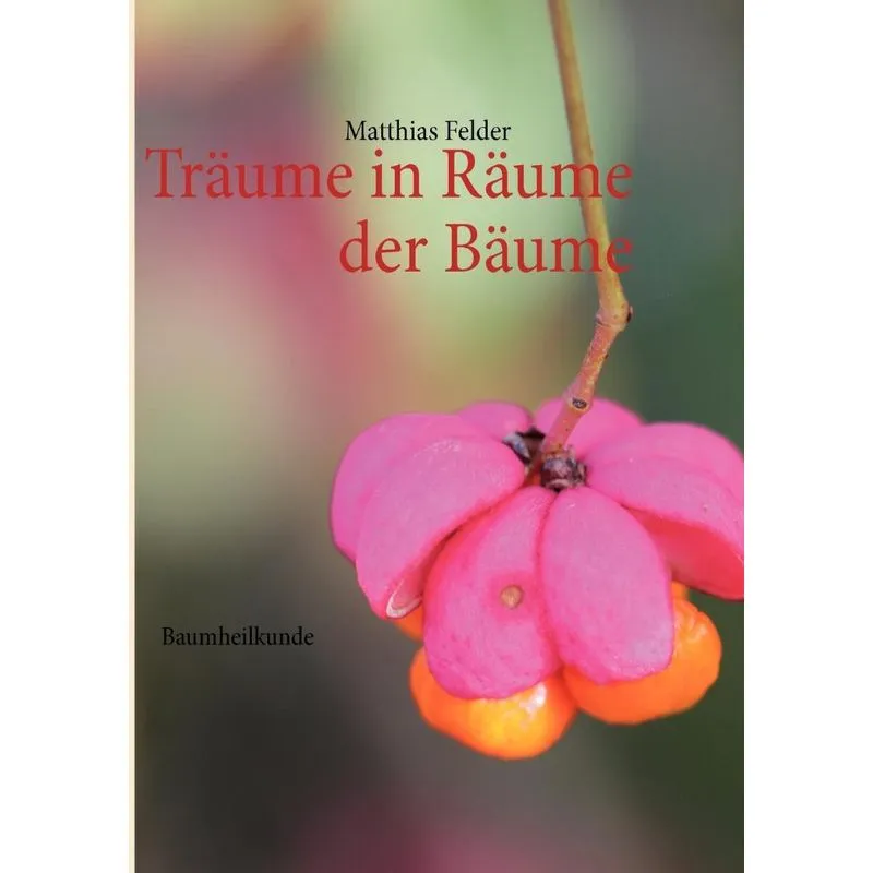 Träume in Räume der Bäume