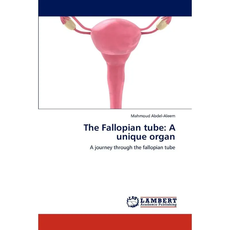 The Fallopian Tube