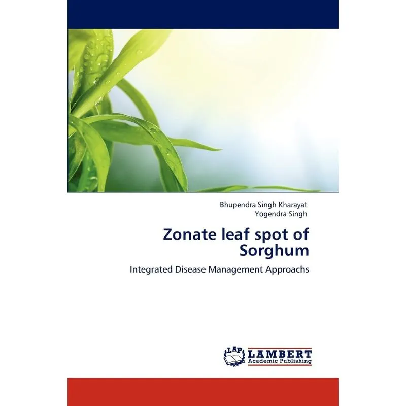 Zonate Leaf Spot Of Sorghum