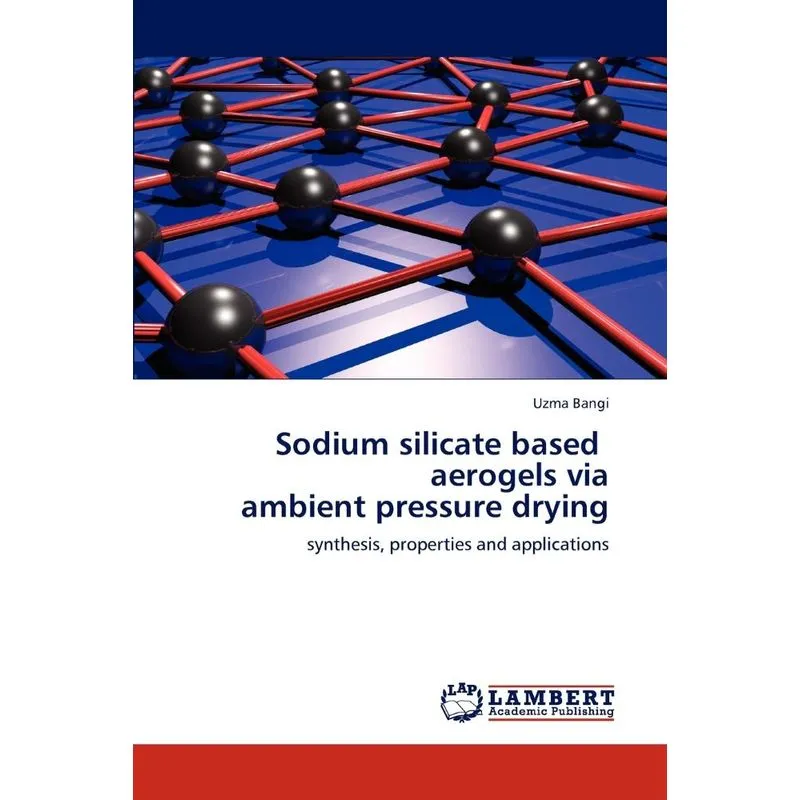 Sodium silicate based aerogels via ambient pressure dryi