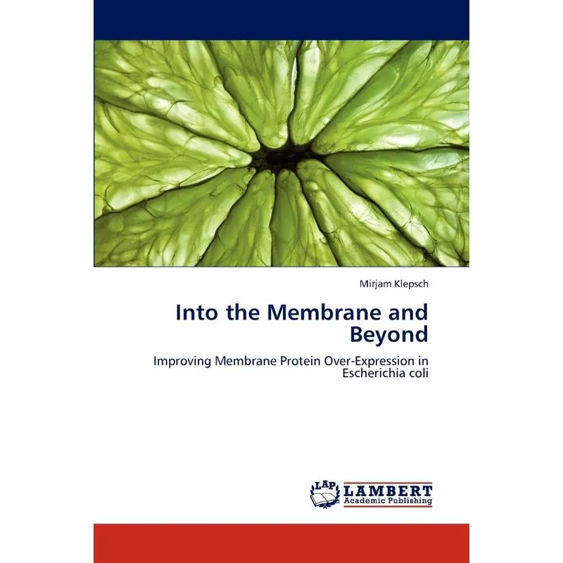 Into the Membrane and Beyond
