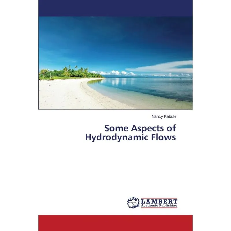Some Aspects of Hydrodynamic Flows