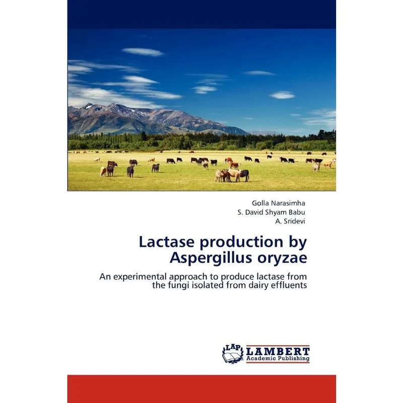 Lactase production by Aspergillus oryzae