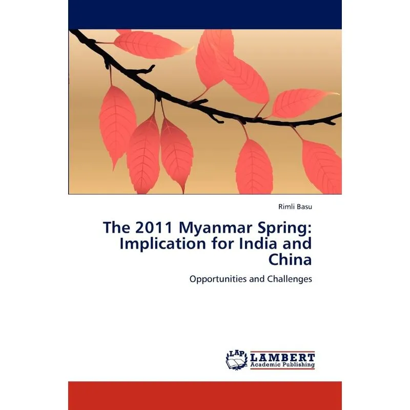 The 2011 Myanmar Spring