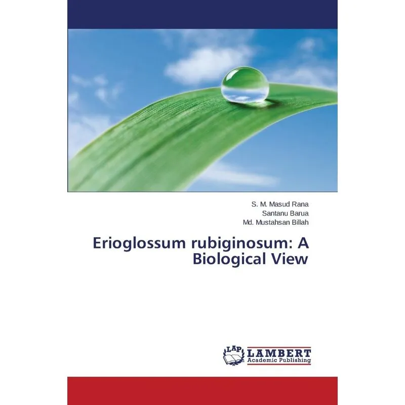 Erioglossum Rubiginosum