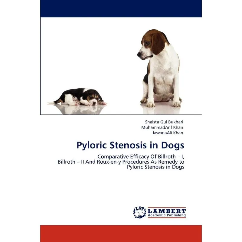 Pyloric Stenosis in Dogs