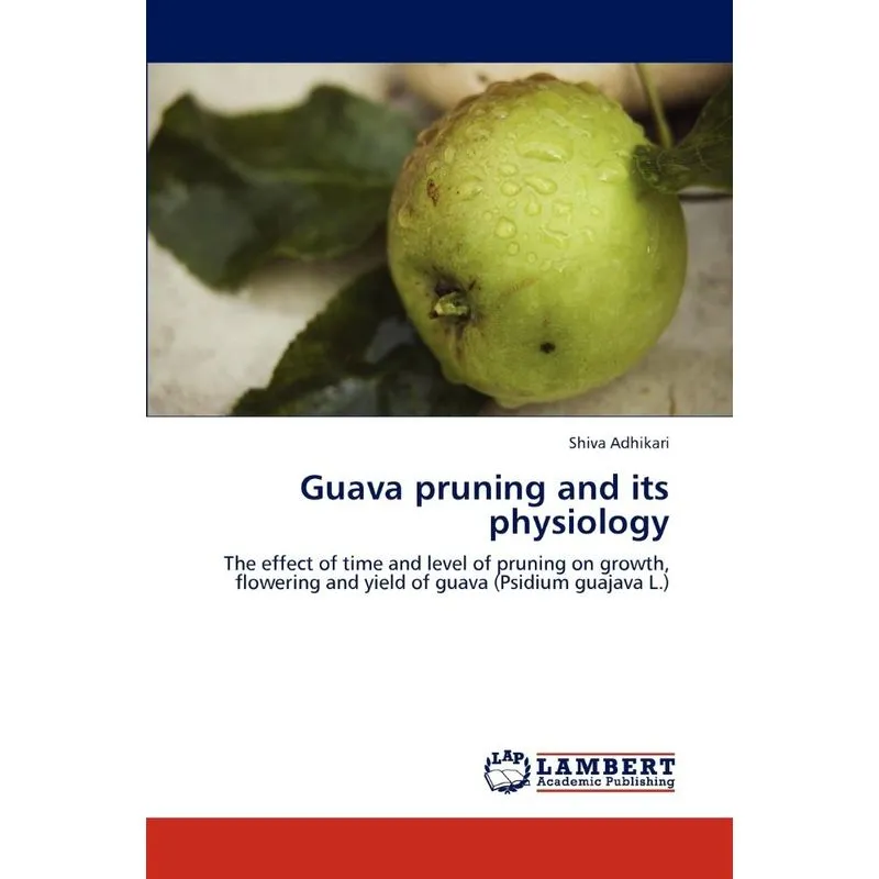 Guava Pruning And Its Physiology