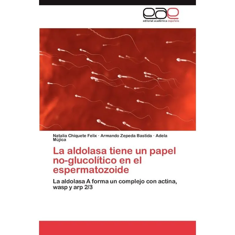 La Aldolasa Tiene Un Papel No-glucolitico En El Espermatozo