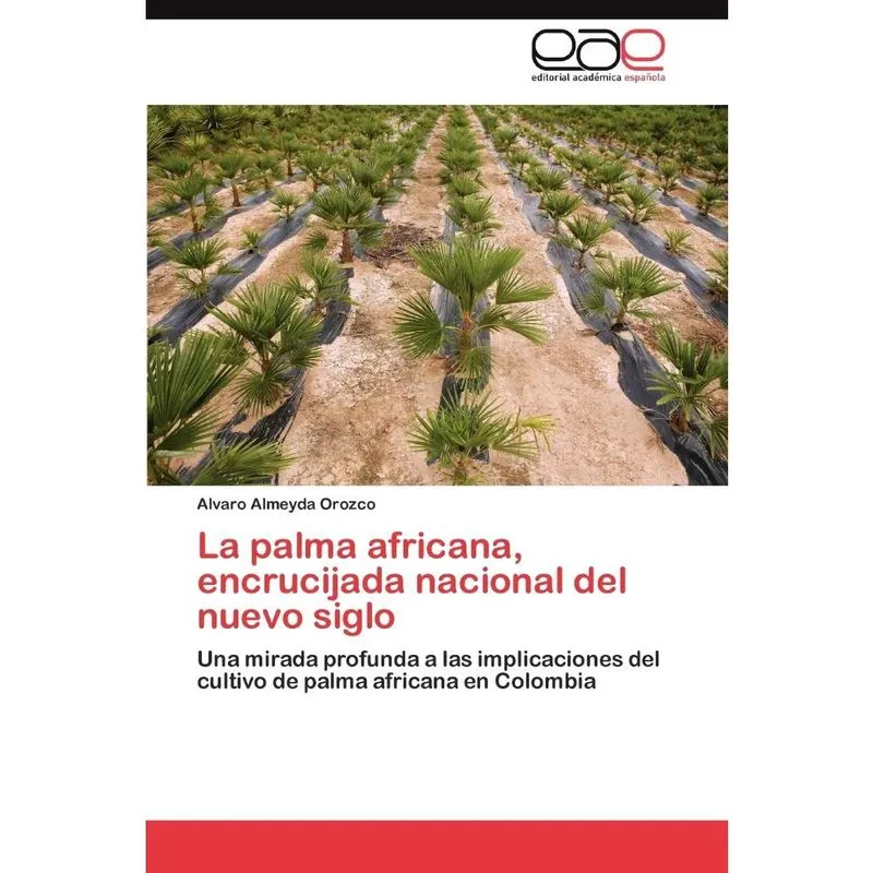 La Palma Africana, Encrucijada Nacional del Nuevo Siglo