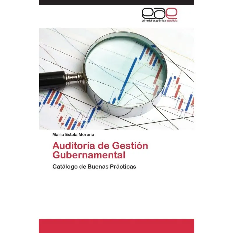 Auditoria de Gestion Gubernamental