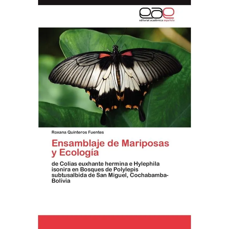 Ensamblaje De Mariposas Y Ecologia