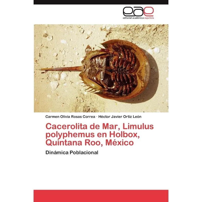 Cacerolita De Mar, Limulus Polyphemus En Holbox, Quintana R