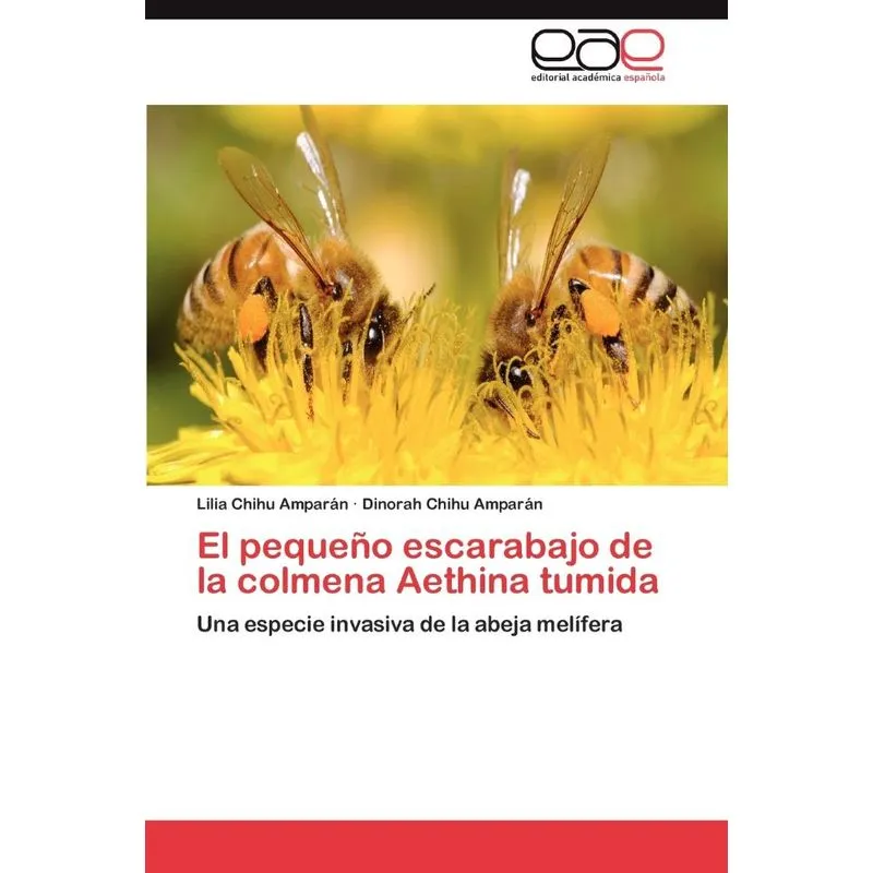El Pequeno Escarabajo De La Colmena Aethina Tumida