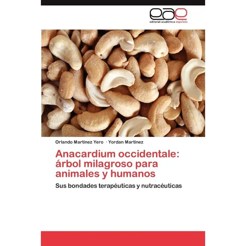 Anacardium Occidentale