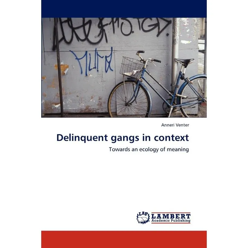 Delinquent gangs in context