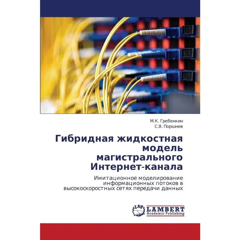 Gibridnaya Zhidkostnaya Model Magistralnogo Internet-Kana