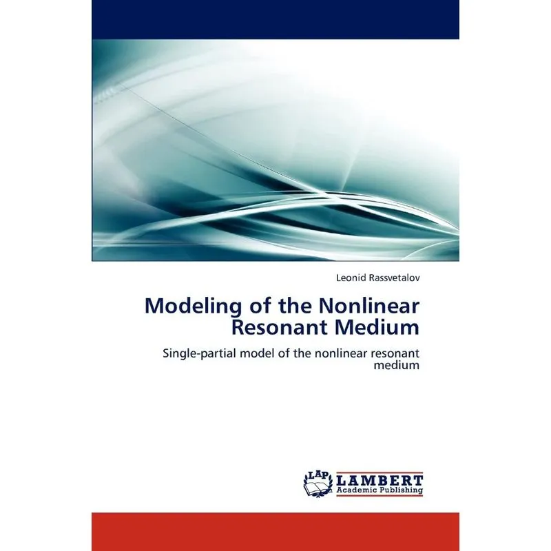 Modeling of the Nonlinear Resonant Medium