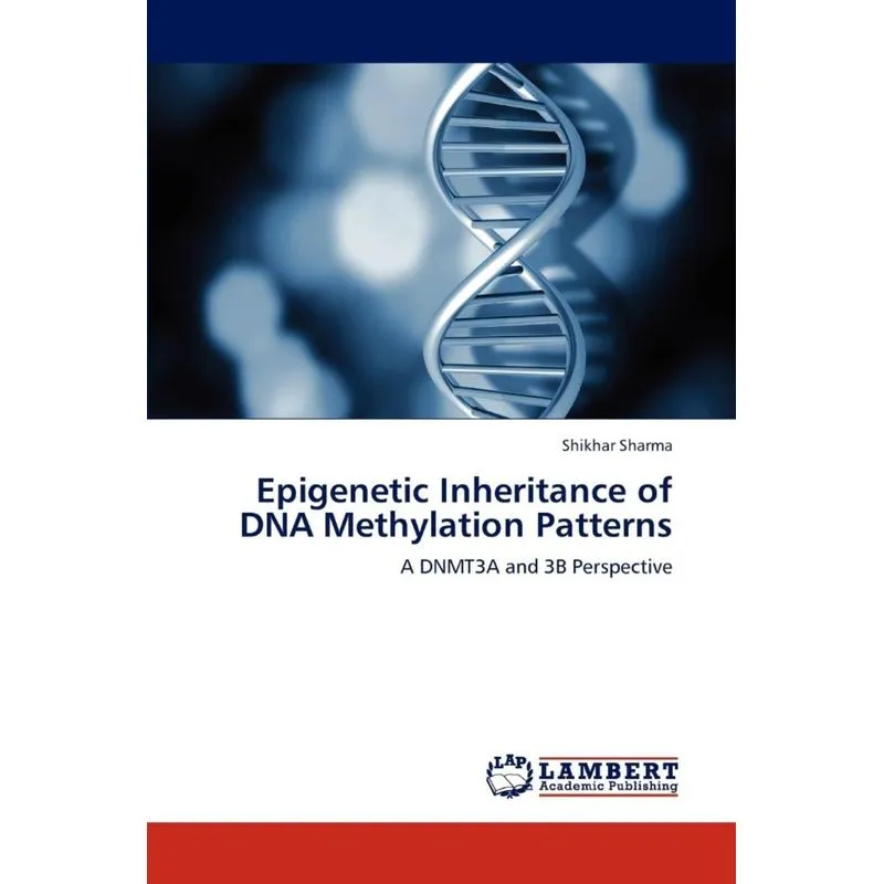 Epigenetic Inheritance of DNA Methylation Patterns