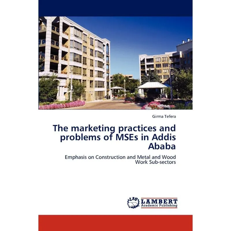The marketing practices and problems of MSEs in Addis Ababa