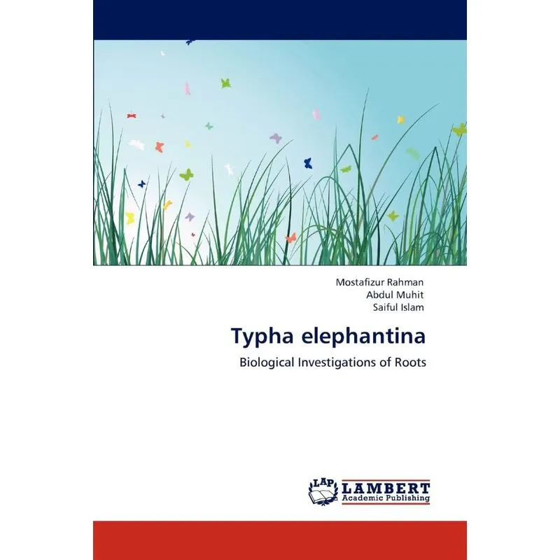 Typha elephantina
