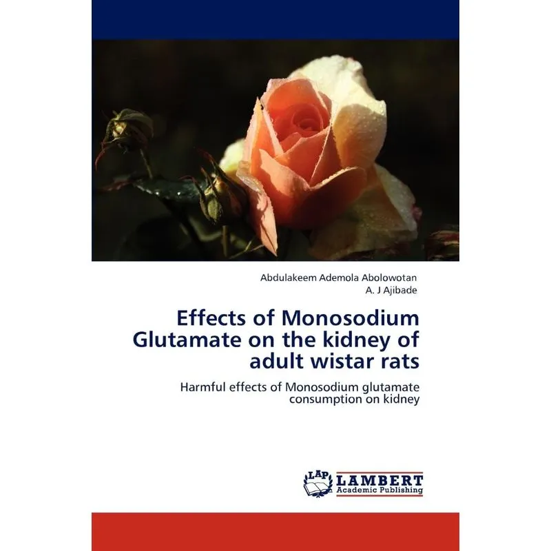 Effects Of Monosodium Glutamate On The Kidney Of Adult Wis