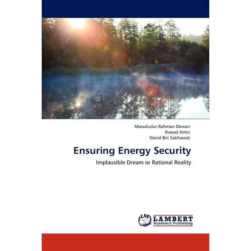 Ensuring Energy Security
