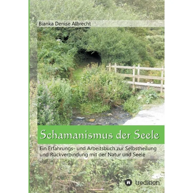 Schamanismus der Seele