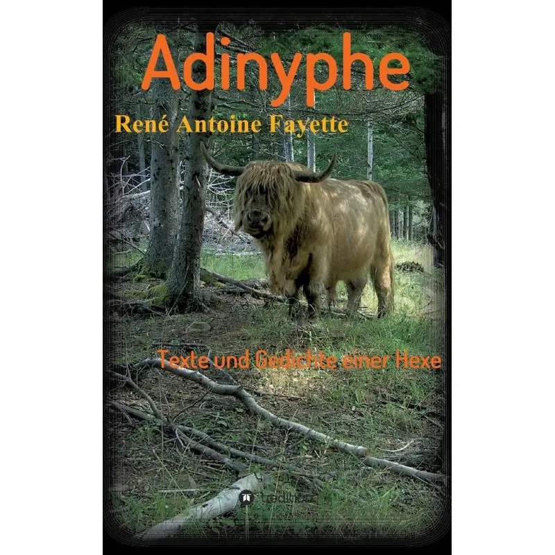 Adinyphe