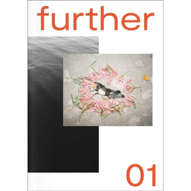 FURTHER 01