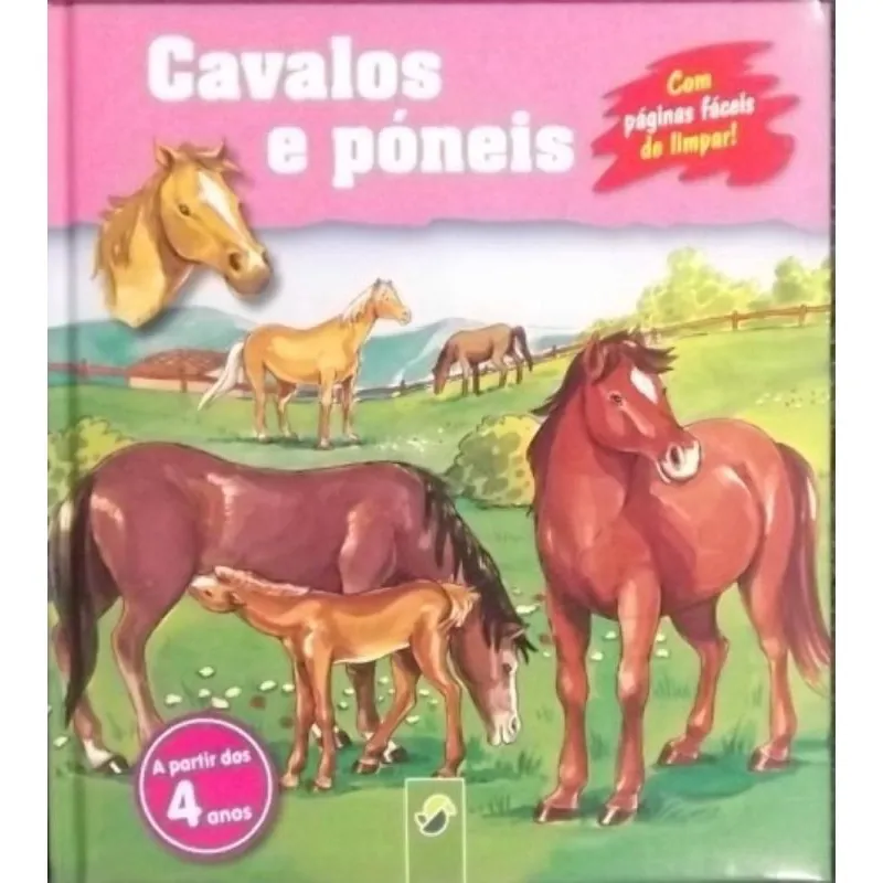 Cavalos E poneis
