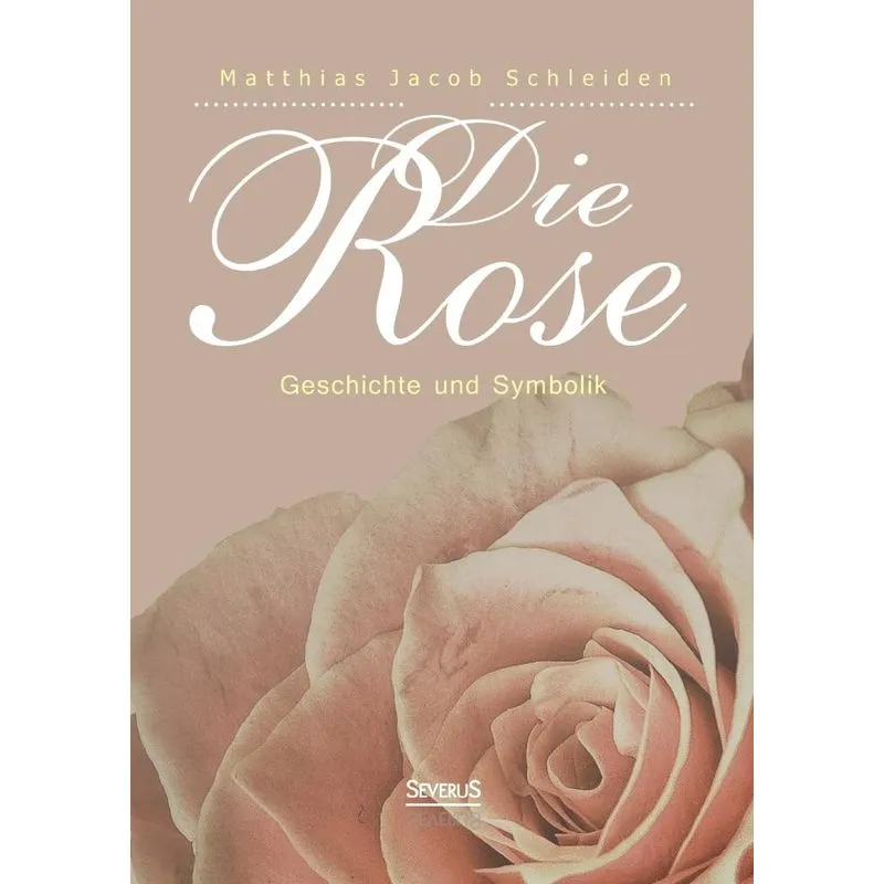Die Rose