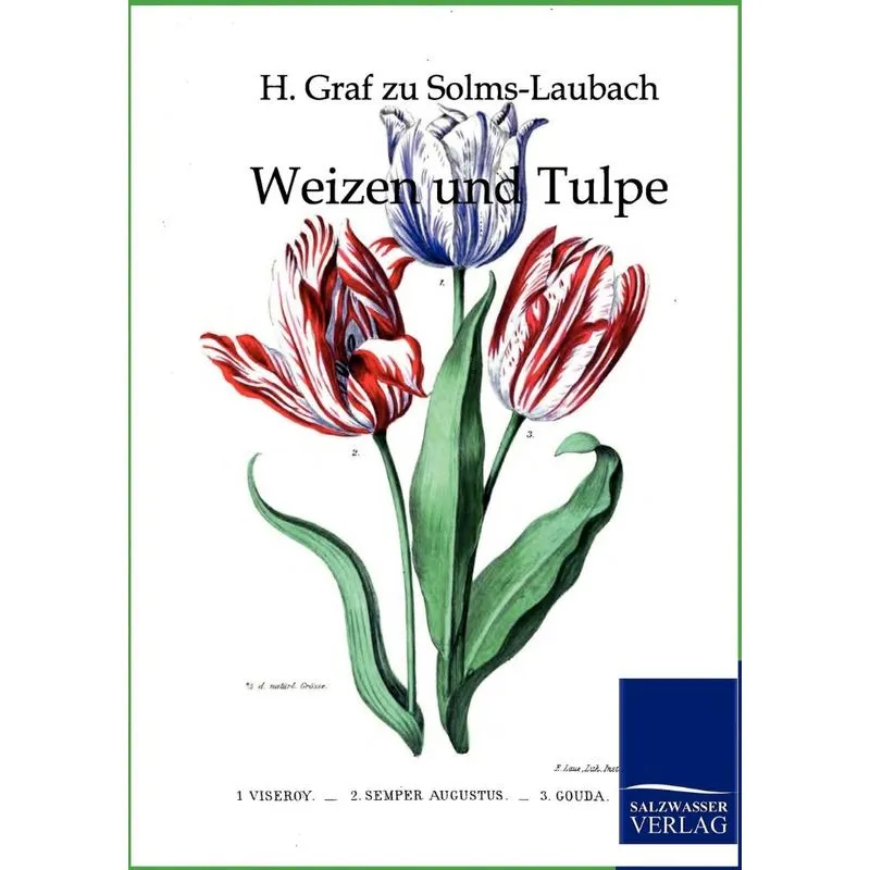 Weizen und Tulpe