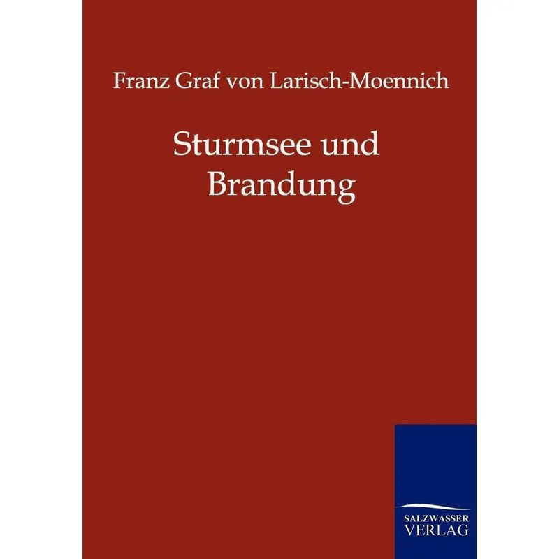 Sturmsee Und Brandung