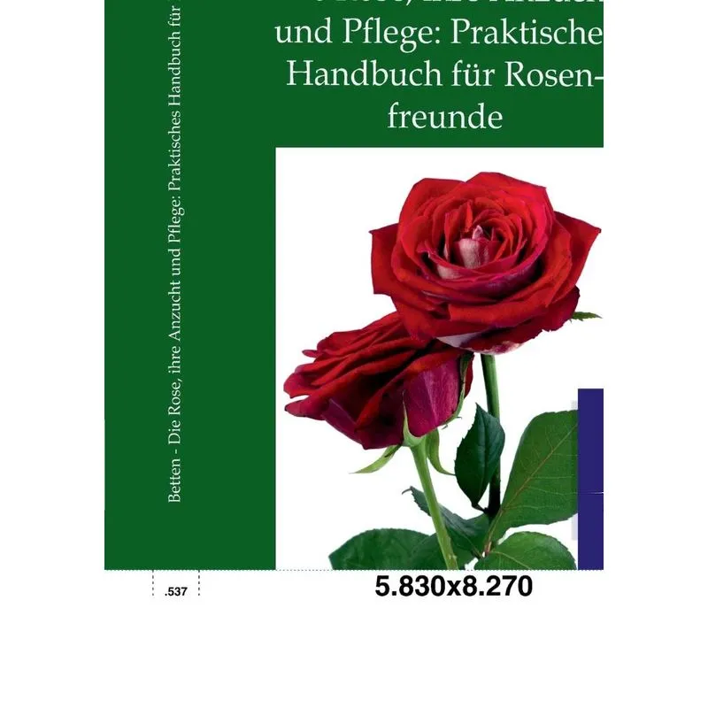 Die Rose, Ihre Anzucht Und Pflege