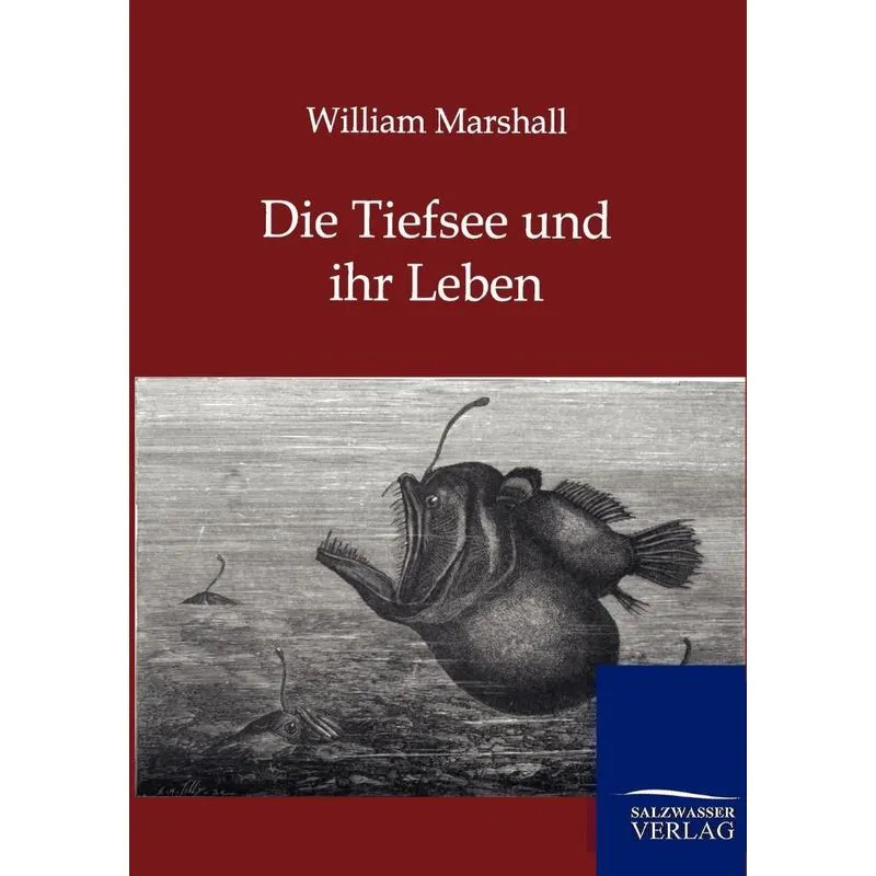 Die Tiefsee und ihr Leben