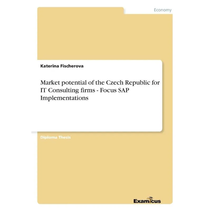 Market potential of the Czech Republic for IT Consulting fi