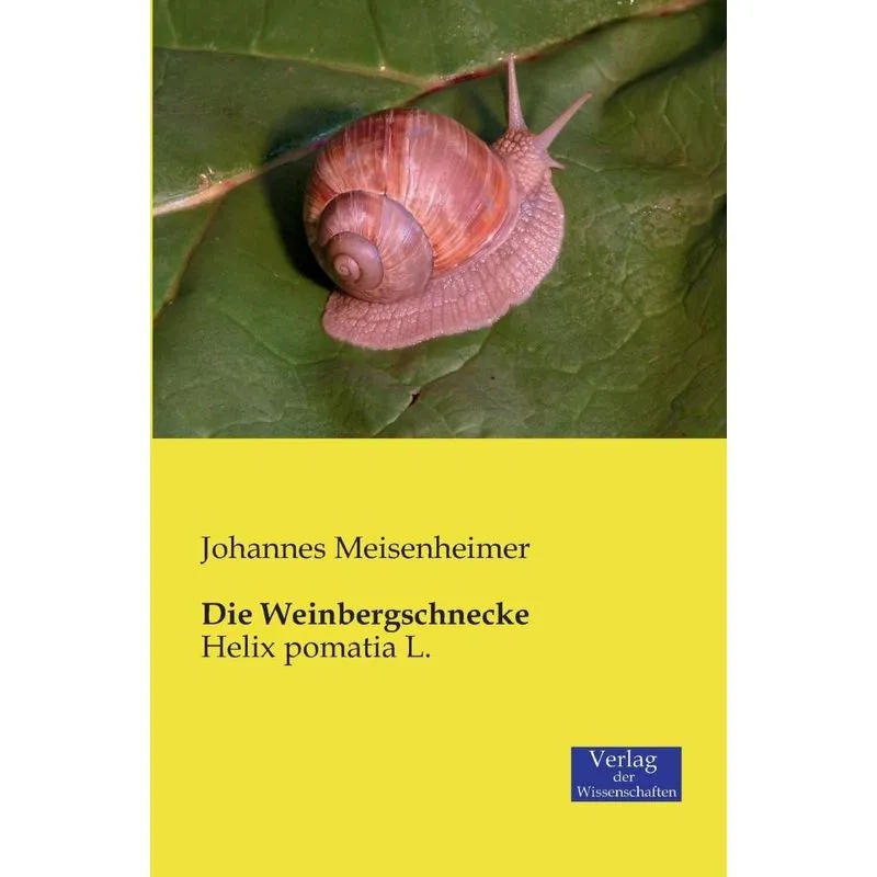 Die Weinbergschnecke