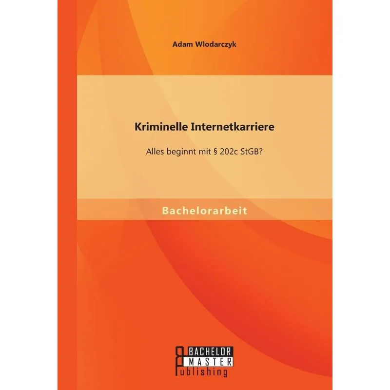 Kriminelle Internetkarriere
