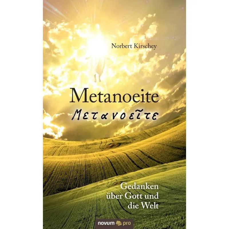 Metanoeite