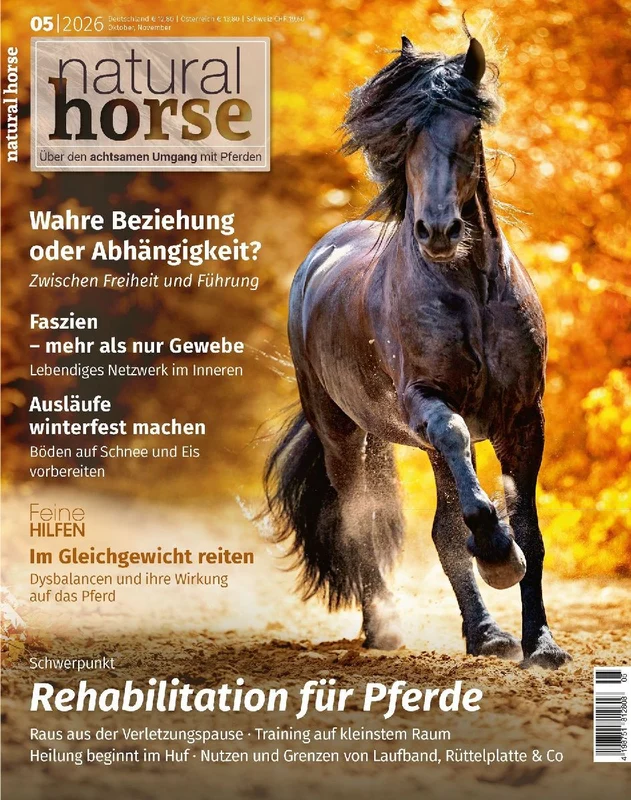 Natural Horse 65