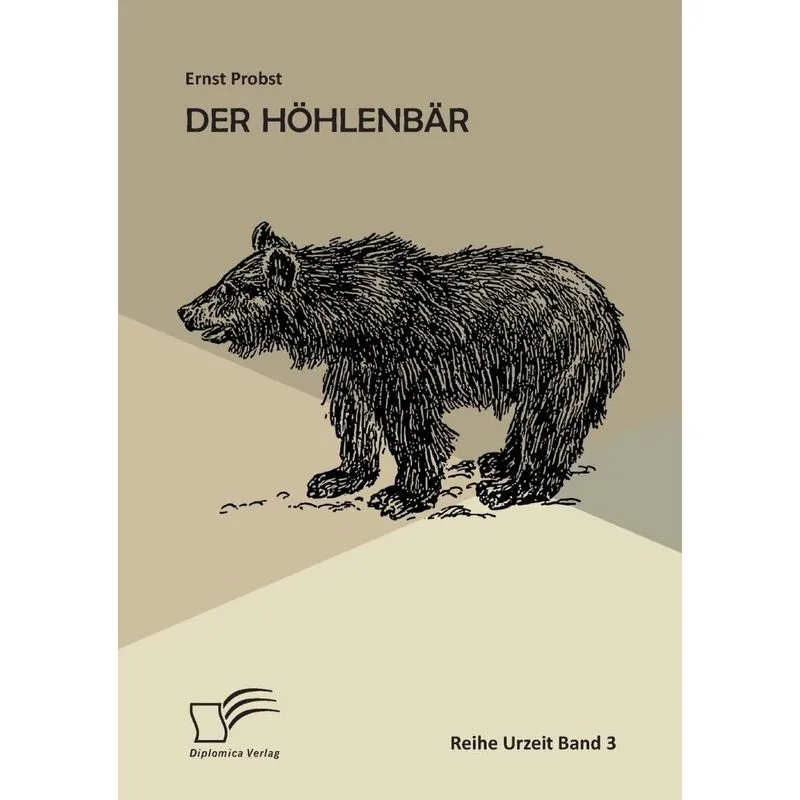 Der Höhlenbär