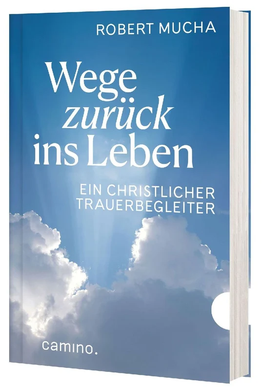 Wege zurück ins Leben
