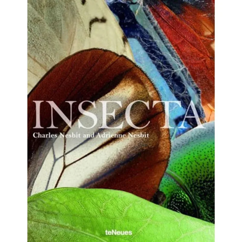 INSECTA